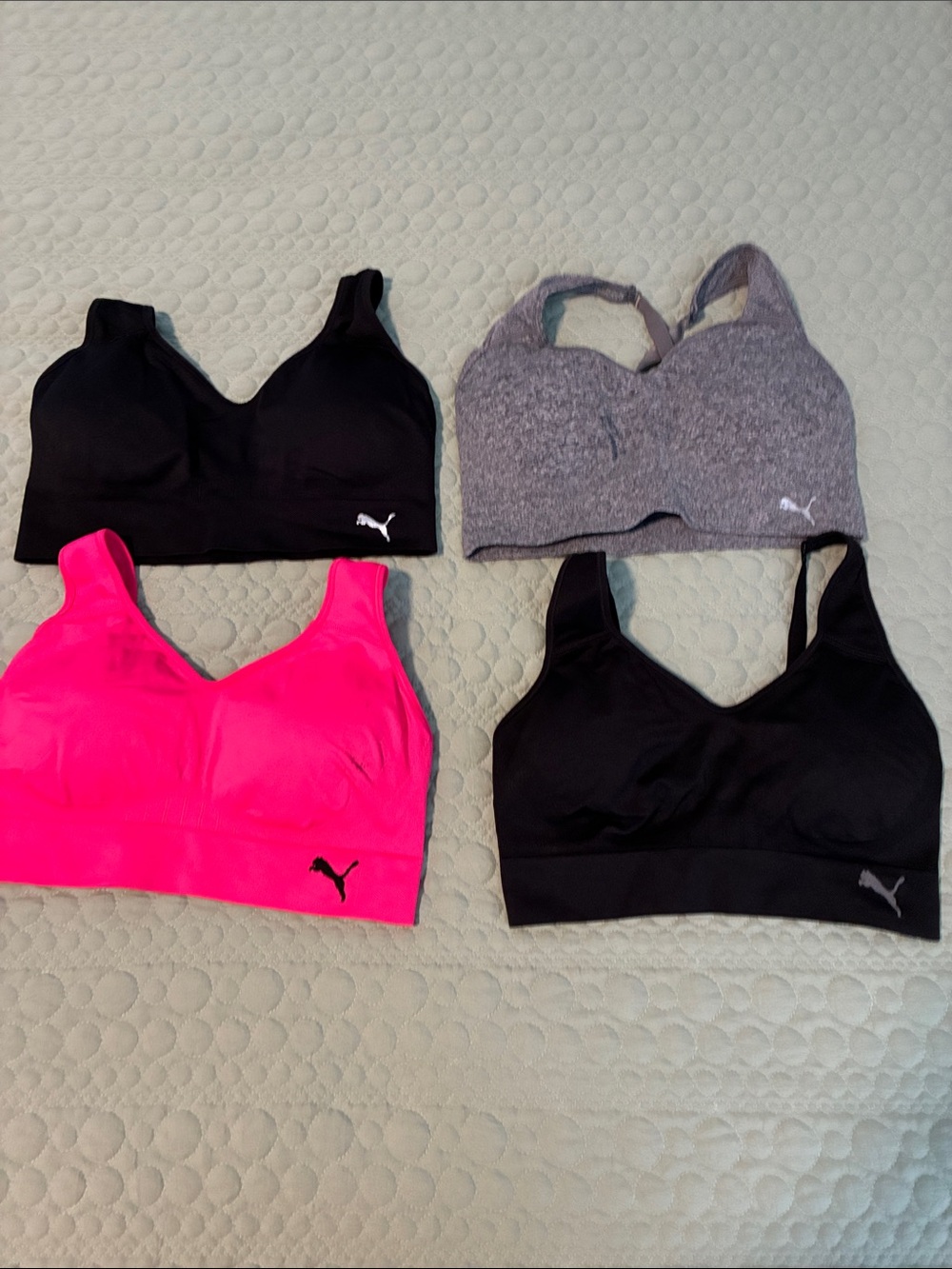 Puma Women's Sports Bra Pack - Black, Heather Gray, Hot Pink